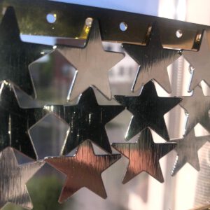 star oorbellen zilver/goud RVS